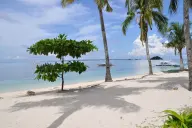 Caribe